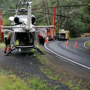 Waioeka Gorge, Tony Brice